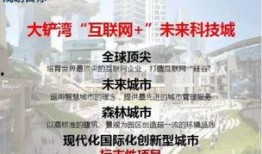射阳最新爆料,揭秘神秘事件背后的真相